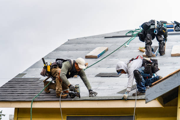 Professional Roofing technician working in Tioga, TX